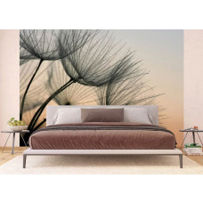 Fototapete einer Pusteblume im Abendlicht, gezeigt in einem Schlafzimmer.