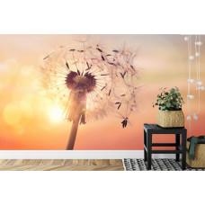 Eine Fototapete mit einem Löwenzahn im Sonnenlicht, gezeigt in einem Schlafzimmer und Wohnzimmer.