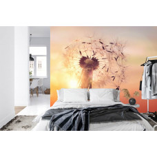 Eine Fototapete mit einem Löwenzahn im Sonnenlicht, gezeigt in einem Schlafzimmer.