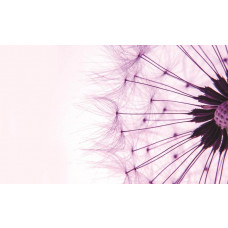 Rosa Pusteblumen, Fototapete mit einem Mädchen und Blumen für einen sanften, beruhigenden Look.