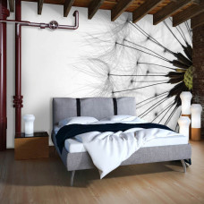 Eine Fototapete mit weißen Pusteblumen in einem ruhigen, natürlichen Stil, ideal für ein Wohnzimmer.