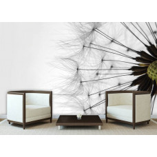 Eine Fototapete mit weißen Pusteblumen, geeignet für eine friedliche Atmosphäre.