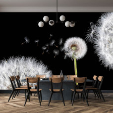 Eine Fototapete mit Pusteblumen in einer beruhigenden Anordnung, geeignet für die Küche.