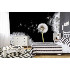 Eine Fototapete mit einer Sammlung von Pusteblumen in einer weichen, natürlichen Komposition für das Schlafzimmer.