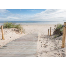 Ein Fototapete mit einem Holzweg zum Strand, umgeben von Dünen und Strandhafer, mit dem Meer im Hintergrund und einem klaren blauen Himmel.