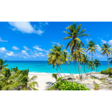 Fototapete mit Palmen, die die Küste schmücken, während das Meer sanft den Strand berührt.