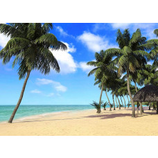 Fototapete mit Palmen am Meer und Strand, die dem Raum eine beruhigende und exotische Atmosphäre verleiht.