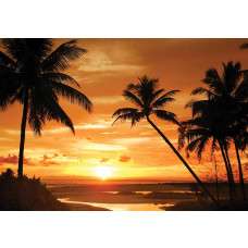 Palmen bei Sonnenuntergang, Fototapete mit einer sommerlichen und tropischen Atmosphäre für ein entspannendes Interieur.