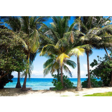 Ein Fototapet von Palmen am Meer.