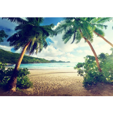 Tropische Fototapete mit Palmen am Strand und einem ruhigen Meer im Hintergrund.