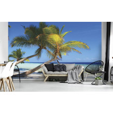 Eine Fototapete mit Palmen an einem sonnigen Strand mit Meer, sichtbar in einem Wohnzimmer.