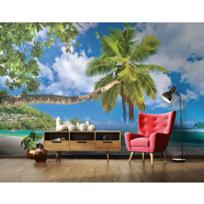 Eine Fototapete von einem Strand mit Palmen und blauem Meer für das Wohnzimmer.