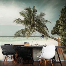 Fototapete einer Strandschaukel am Meer mit Palmen, ideal für das Büro.