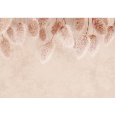 Pampasgras vor einer Betonwand auf dieser Fototapete, mit einer subtilen Mischung aus Natur und industriellen Texturen.