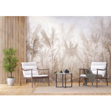Ein Fototapete mit einem Pampasgras-Garten in einem Geschäftsraum, ideal für eine moderne und inspirierende Arbeitsumgebung mit natürlicher Ausstrahlung.