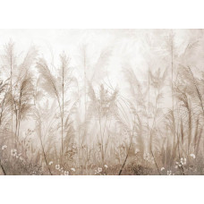 Ein Fototapete mit einem Pampasgras-Garten, bei dem elegante Federn in warmen Sandtönen eine sanfte und natürliche Ausstrahlung verleihen.