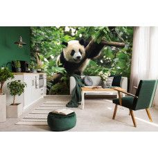 Eine Fototapete mit einem Pandabären in einem Baum im Wohnzimmer.