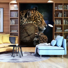 Eine Fototapete mit einem Panther im Wald, mit einem Tiger und Leopard in einer tropischen Umgebung, geeignet für Schlafzimmer und Wohnzimmer.