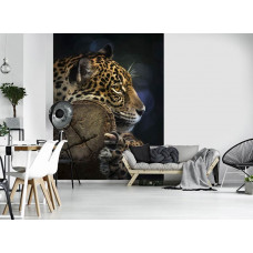 Eine Fototapete mit einem Panther in einer dichten bewaldeten Umgebung, ideal für ein Wohnzimmer.