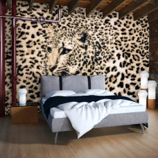 eine Fototapete mit Pantherdruck und Leopardenmuster für das Schlafzimmer.