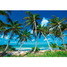 Fototapete mit paradiesischen Palmen an einem tropischen Strand mit Blick aufs Meer.