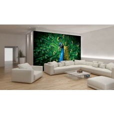 Eine Fototapete von einem grünen Pfau in einem Wohnraum.