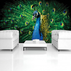 Eine Fototapete von einem grünen Pfau in einem Büro.