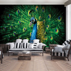 Eine Fototapete von einem grünen Pfau im Vliesbehangstil für einen Wohnraum.