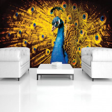 Eine Fototapete von einem Pfau mit subtilen orangefarbenen Akzenten in einem Wohnraum.