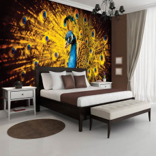 Eine Fototapete von einem Pfau mit orangen Details im Vliesbehangstil für ein Schlafzimmer.