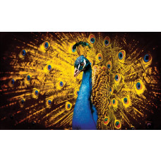 Fototapete von einem Pfau mit orangefarbenen Federn, dargestellt in einem auffälligen künstlerischen Stil.