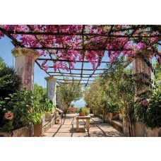 3D-Fototapete eines Blumentunnels unter einer Pergola, mit bunten Blumen und Blättern, die den Raum einrahmen.