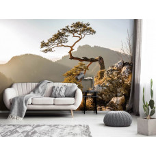 Eine Fototapete mit der Landschaft des Sokolica-Gebirges, geeignet für das Wohnzimmer.