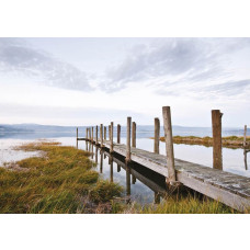 Fototapete mit einem Steg an einem See, ruhige natürliche Umgebung.