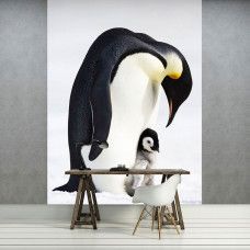 Fototapete Pinguine