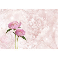 Rosa Pfingstrose und Rosen auf Fototapete in abstraktem Design.