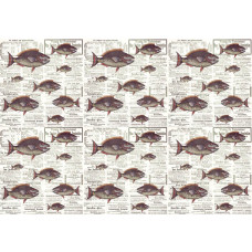 Piranhas in einem dynamischen und verspielten Zeitungsstil, auffallend dargestellt auf dieser einzigartigen Fototapete.