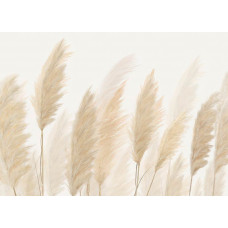 Ein Fototapete mit Federn, bei dem elegante Pampasgrasfedern in sanften Erdtönen eine elegante und beruhigende Ausstrahlung verleihen.