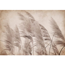 Fototapete mit Vintage-Federn in sanften, natürlichen Tönen und detaillierten Mustern.