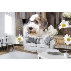Eine Fototapete mit einem Hund im Professorenstil, ideal für das Kinderzimmer.