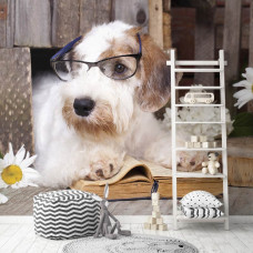 Eine Fototapete mit Professor Hund in einer verspielten Umgebung für das Spielzimmer.