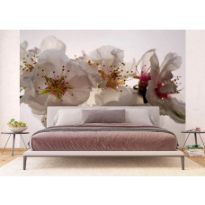 Eine Fototapete mit Pflaumenblüten in einem Schlafzimmer.