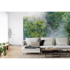 Eine Fototapete mit einem geheimnisvollen Regenwald im Nebel, voller hoher Bäume, ideal für ein Wohnzimmer.