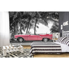 Fototapete eines roten Autos mit Palmen und dem Meer in Kuba, ideal für das Schlafzimmer.