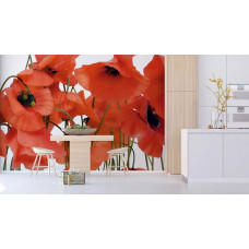 Eine Fototapete mit roten Mohnblumen in einer Küche.