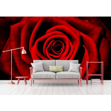 Eine Fototapete mit einer roten Rose und liebevollem Look für das Wohnzimmer.