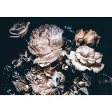 Romantische Blumenstrauß Fototapete mit Rosen und Pfingstrosen, klassische Atmosphäre.