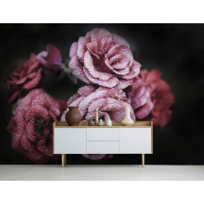 Eine Fototapete mit romantischen Rosen und Pfingstrosen in sanften Tönen, geeignet für ein stimmungsvolles Wohnzimmer.