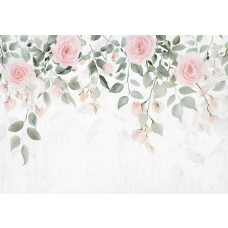 Fotobehang met romantische rozen in zachte roze en crèmetinten tegen een witte muur.