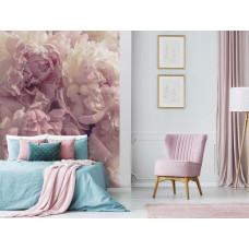 Eine Fototapete mit rosa Pfingstrosenblumen für den Wohnraum.